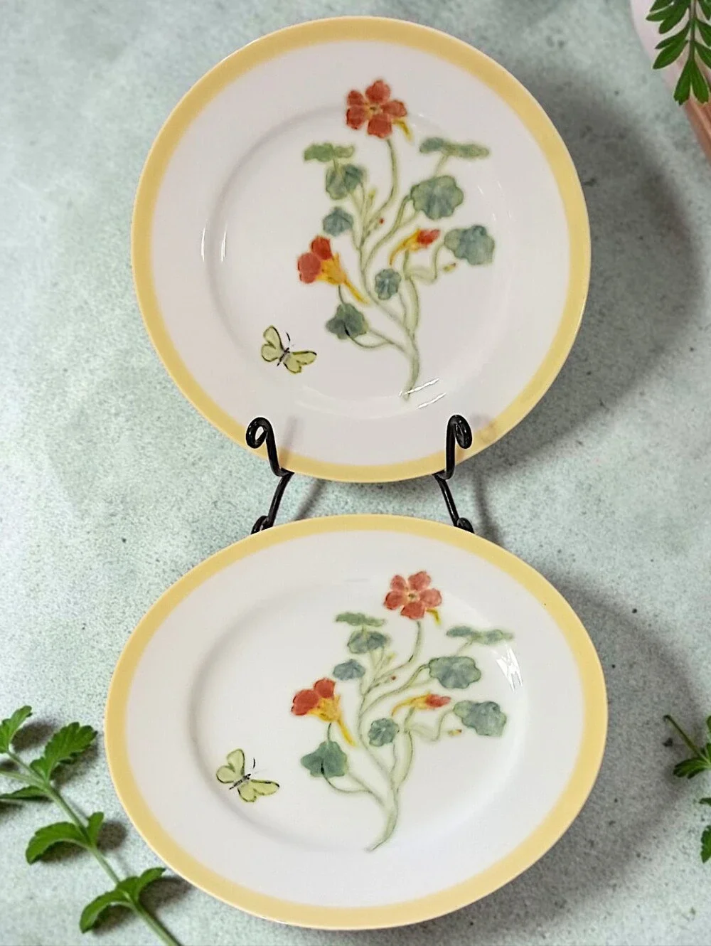 2 Williams Sonoma Flowering Herbs Salad Plates Purple Herb Flowers Nasturtium